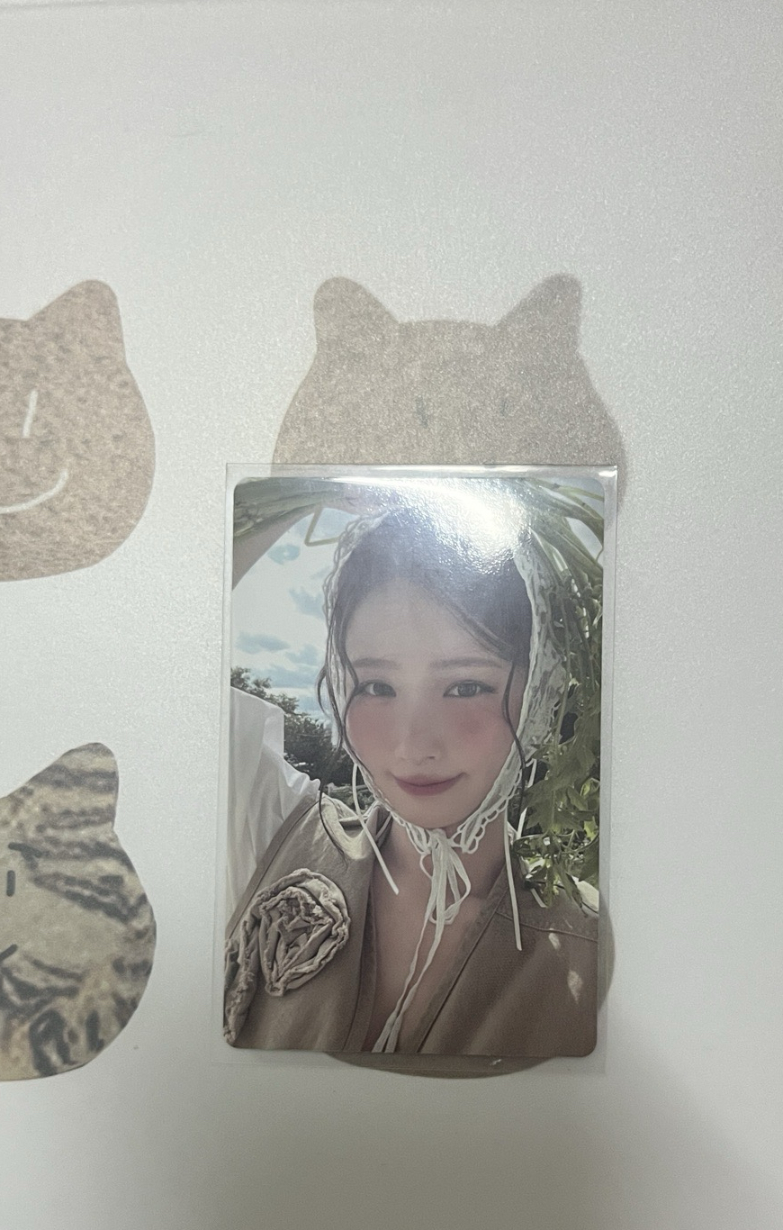 26年年曆卡
