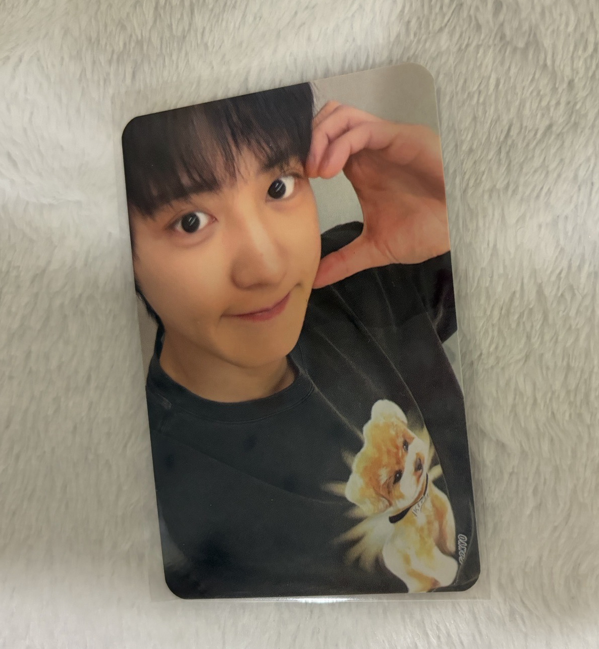 現貨 exo reverxe chanyeol 燦烈 wm線上簽售小卡