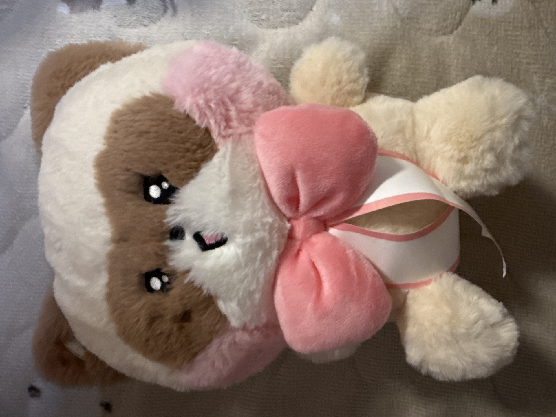 昊尼尼 緞帶已拆 未下水陪睡