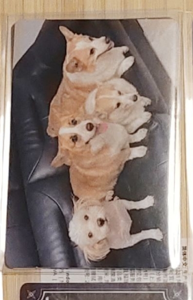 發運康久🐶