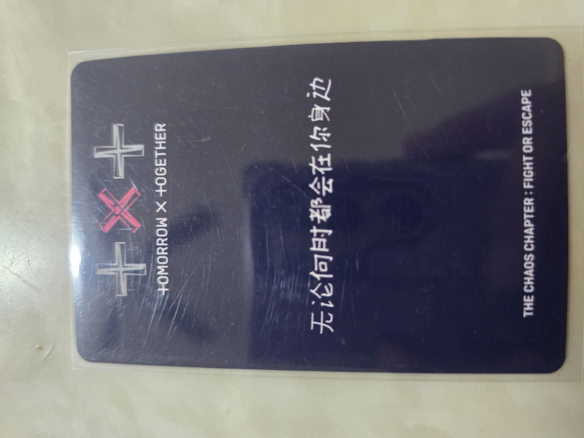 中背：FOE yzy1.0簽售卡