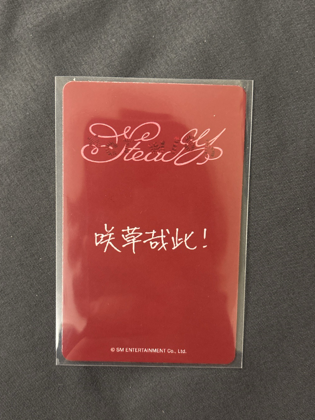 Steady kms PB 特典卡 中背