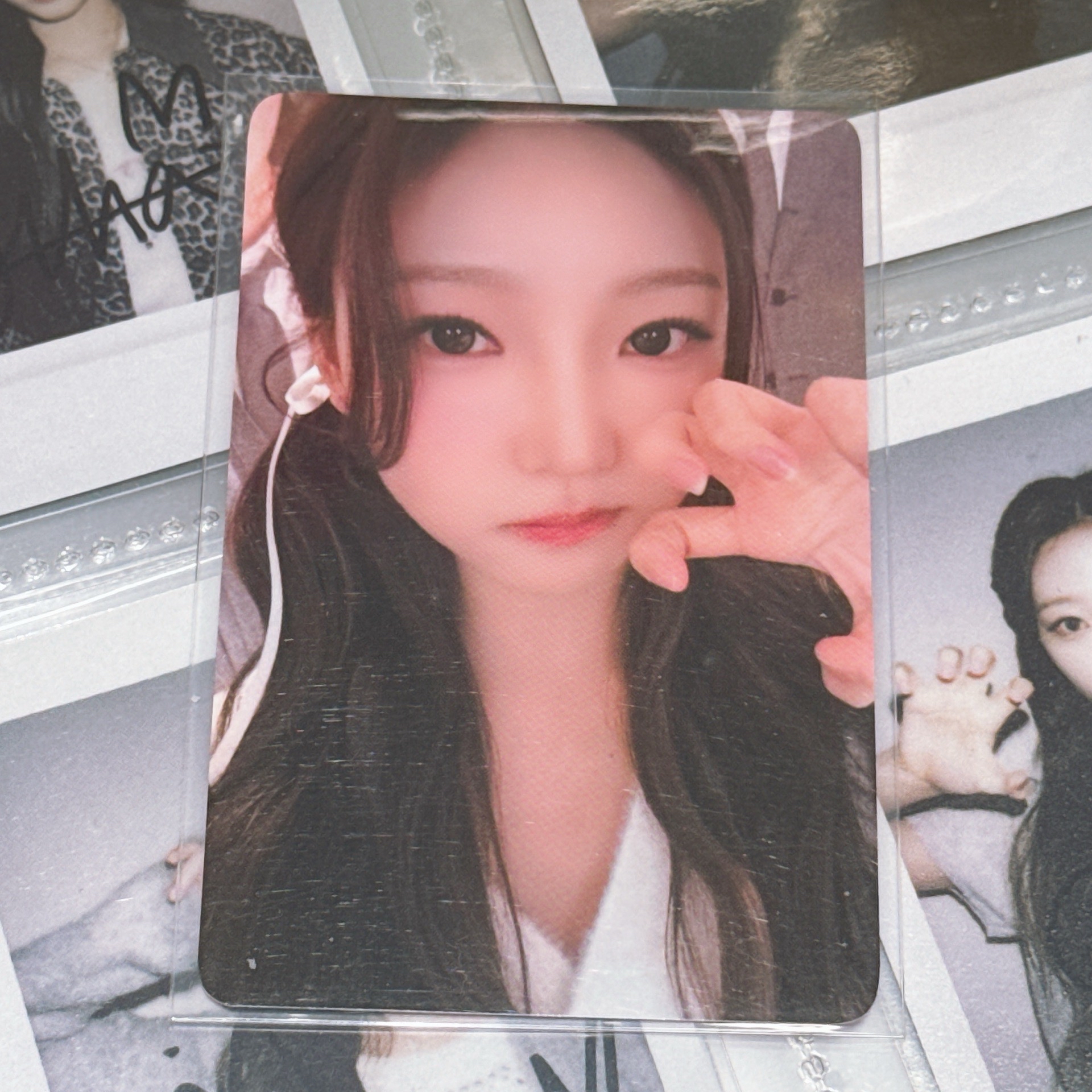 EL簽售貓爪Stella🧁