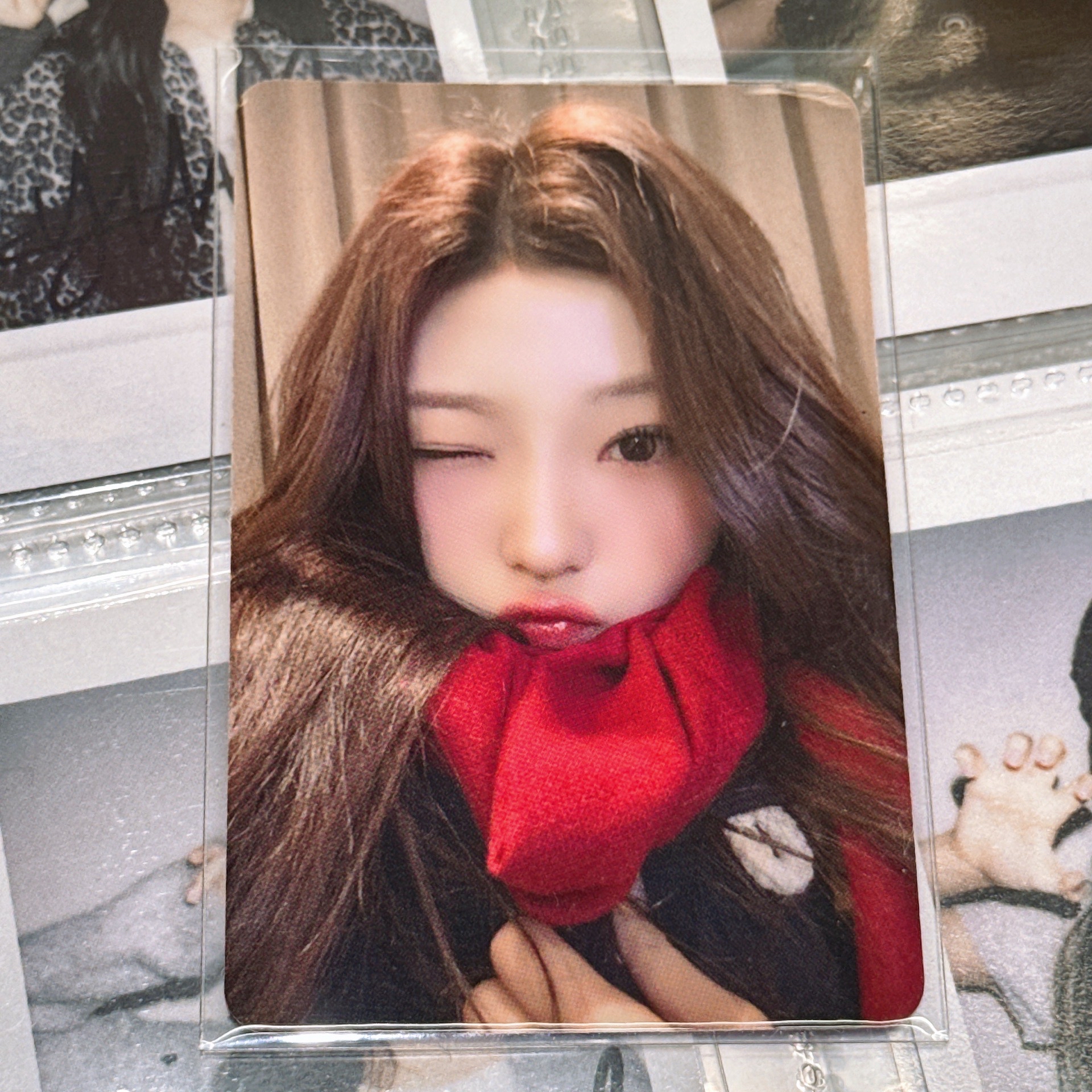 圍巾Stella🧣🧁