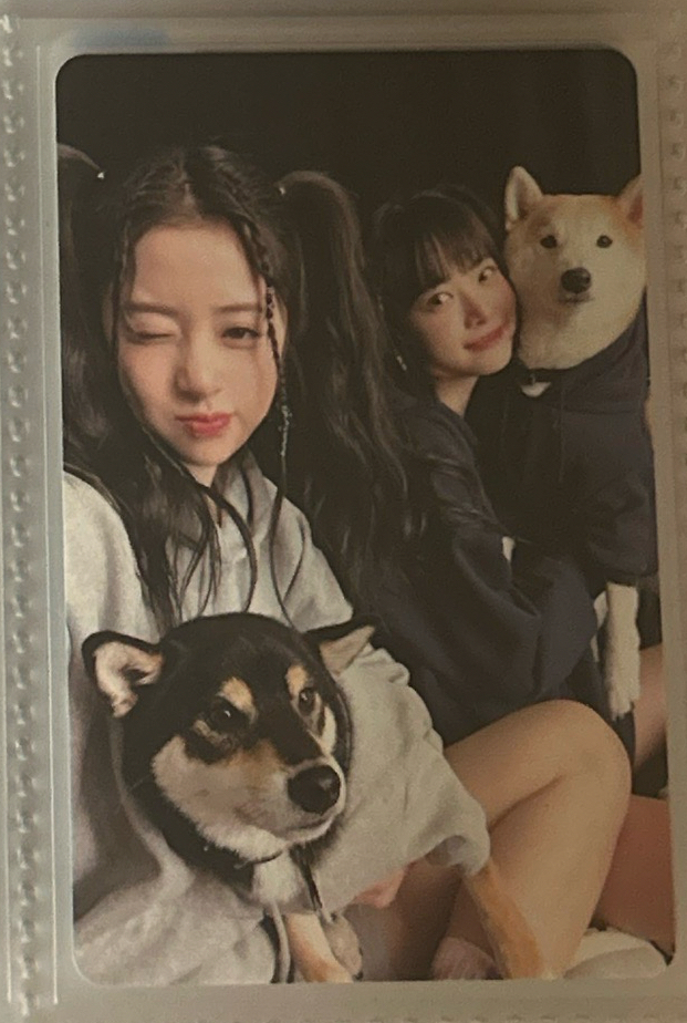 允採