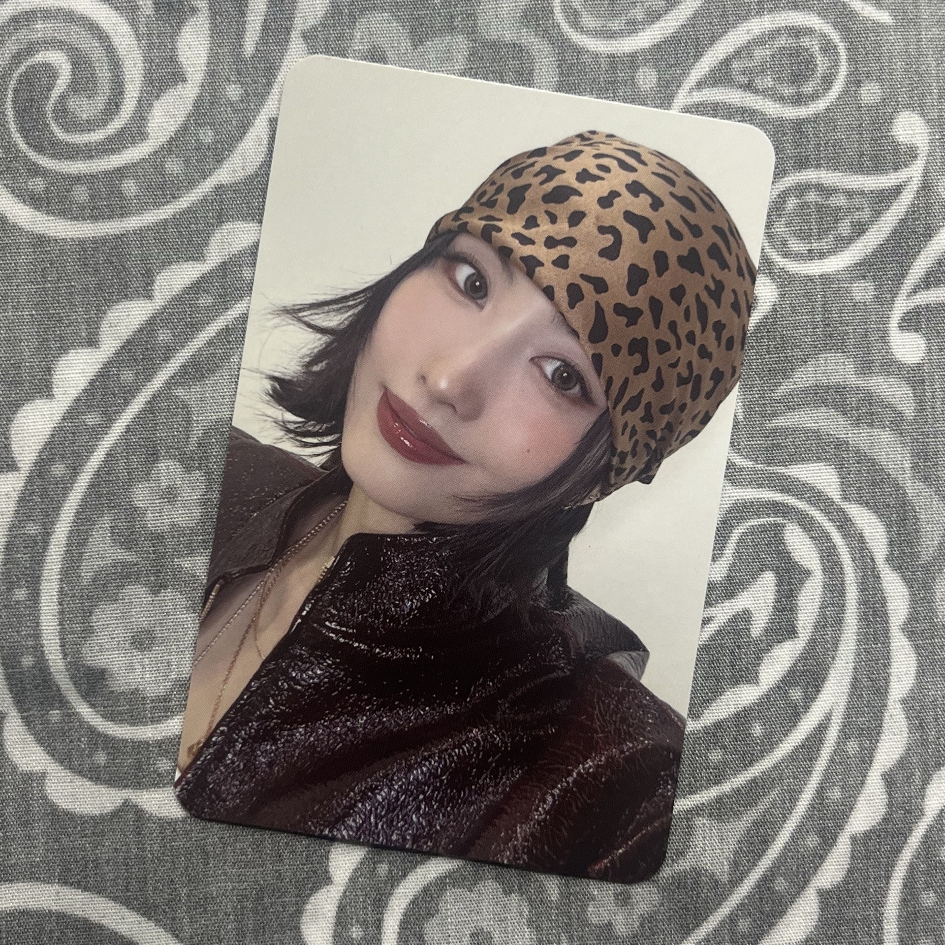 桃 特四 專輯卡 Cast ver.