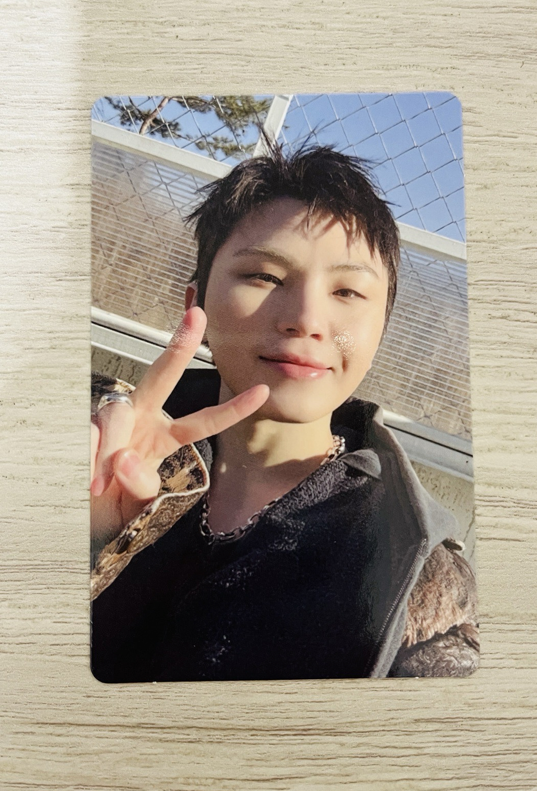 Woozi 正五專卡🩵