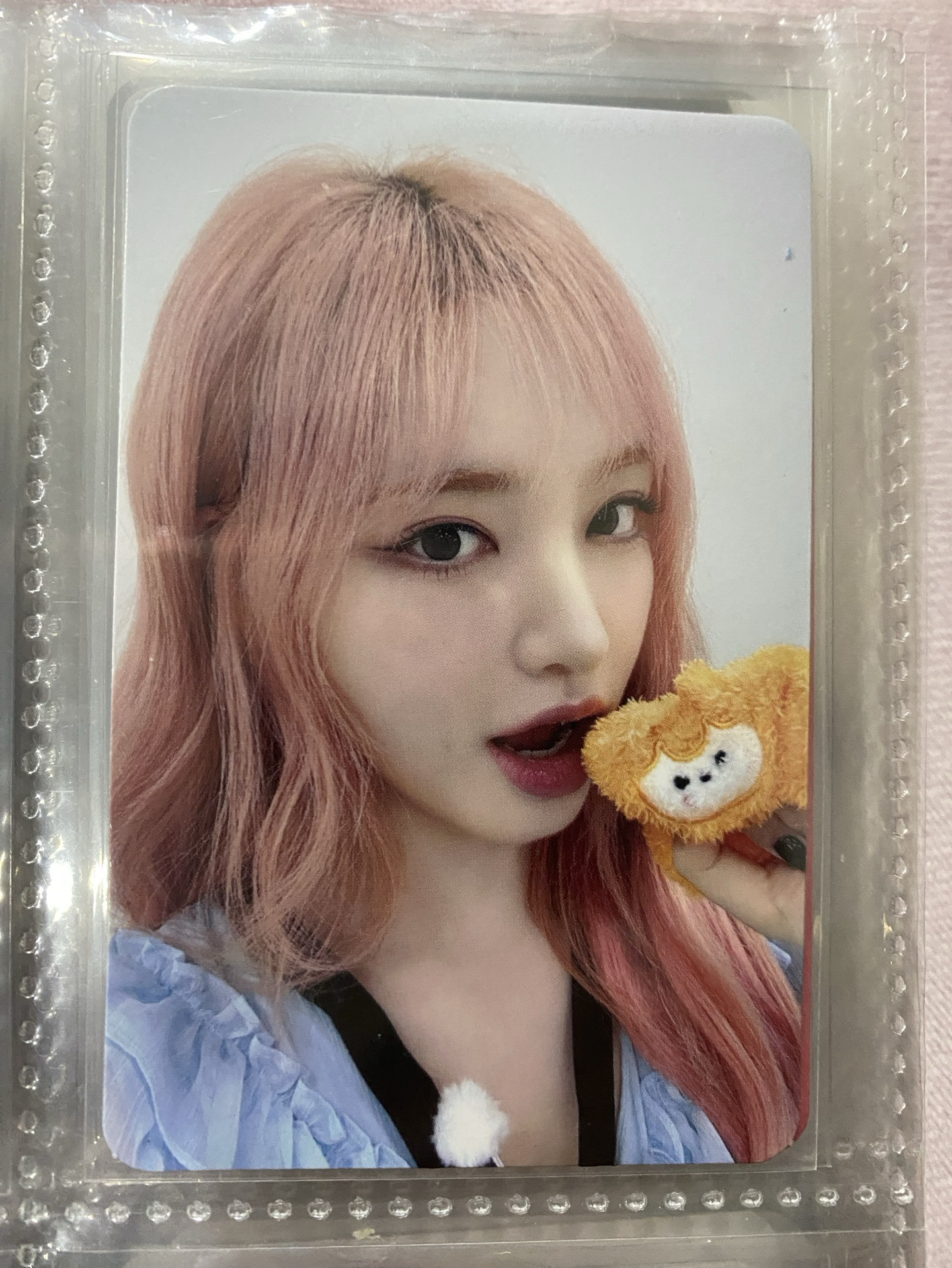 IVE 金志垣 Liz MINIVE SCHOOL 台灣滿額卡