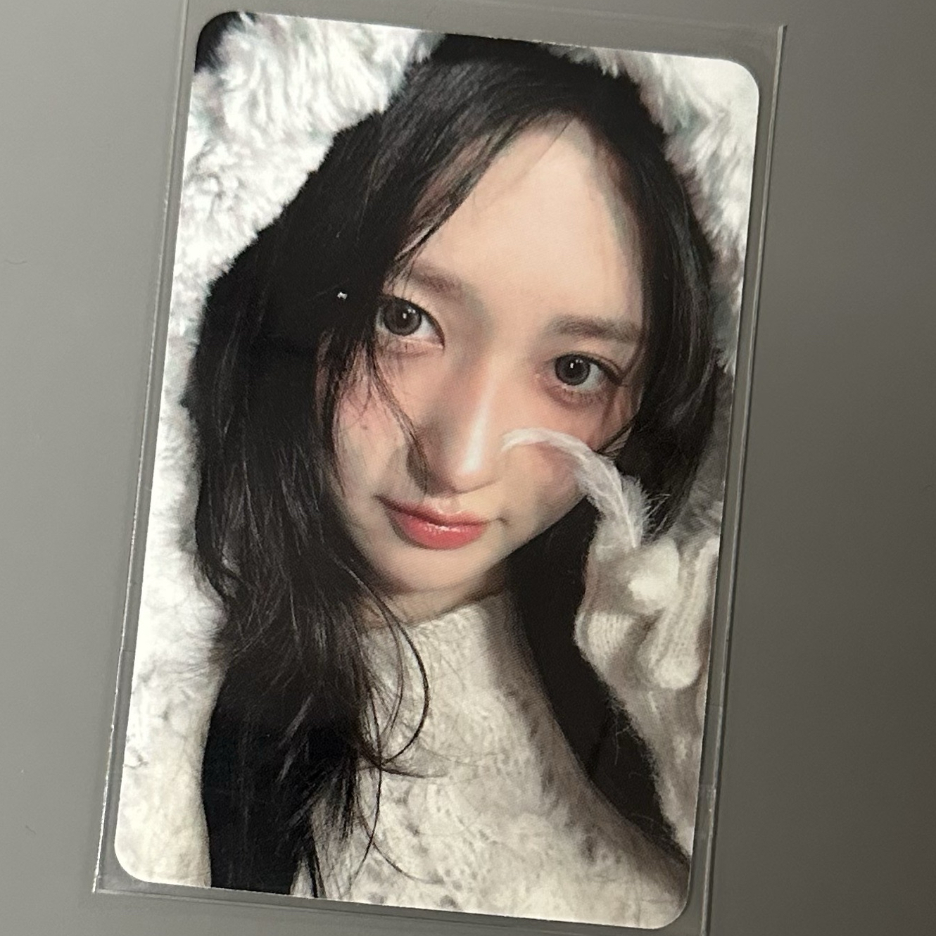 秋 am 特典卡