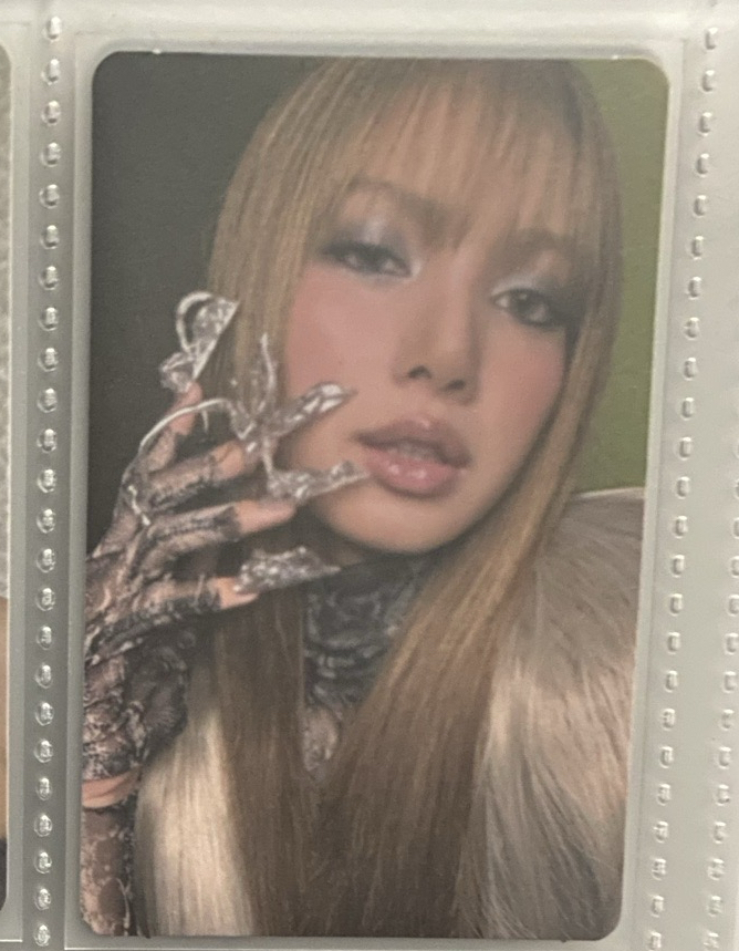 Lisa