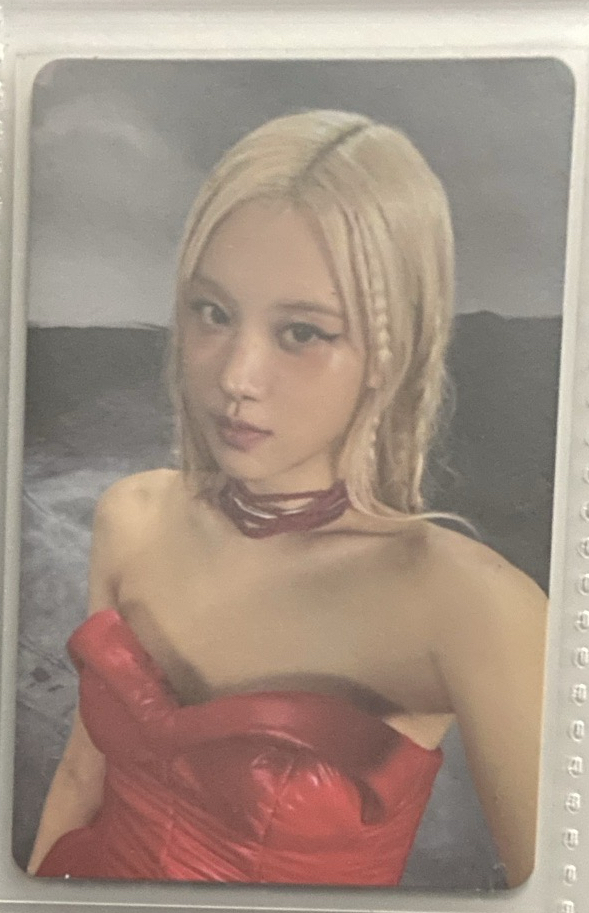 Rose②