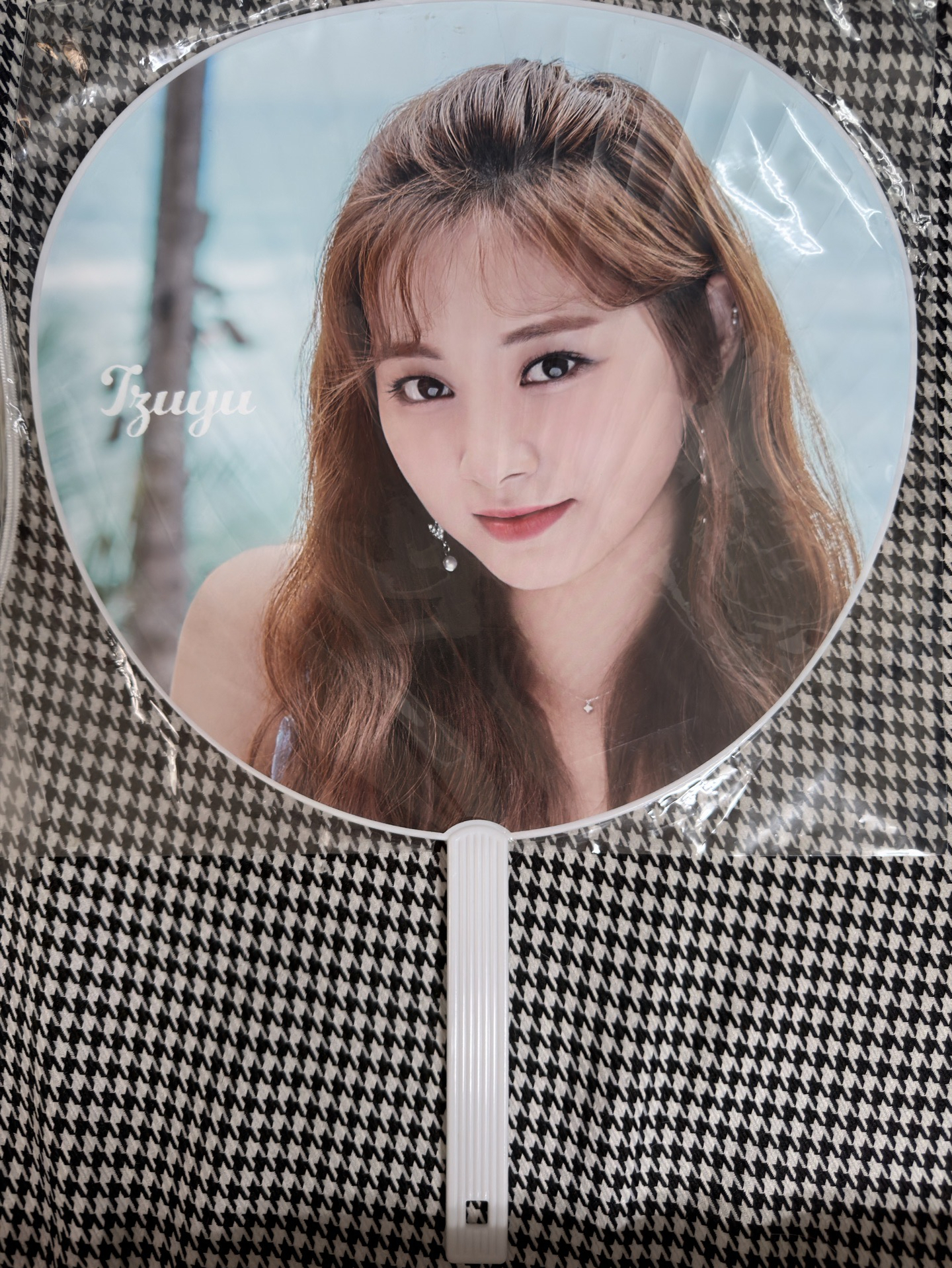 2019大扇（未拆有原袋）