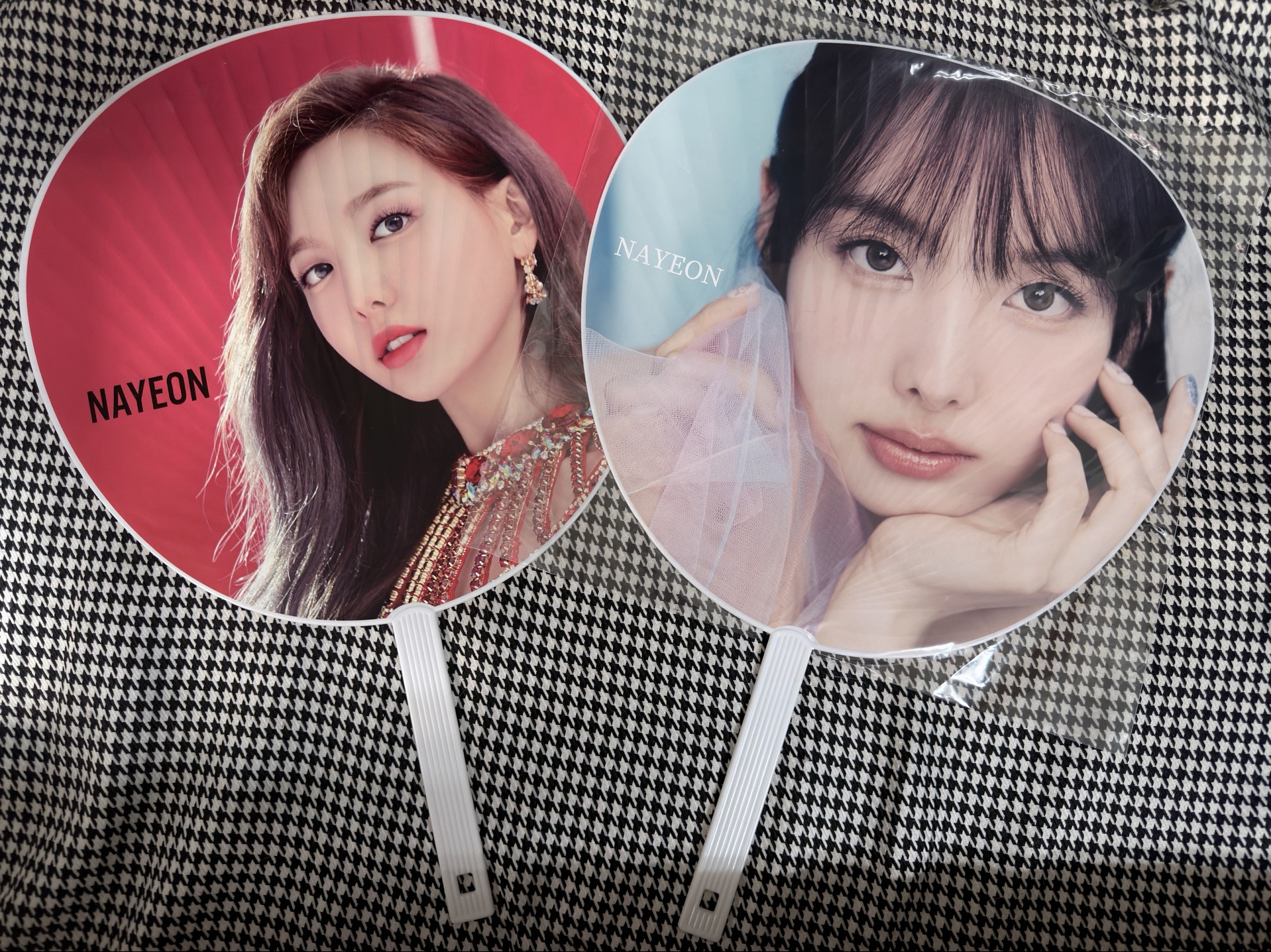 （現貨 兩支一起出 紙箱寄出 可當日寄出）TWICE 日巡 大扇 娜璉 扇子