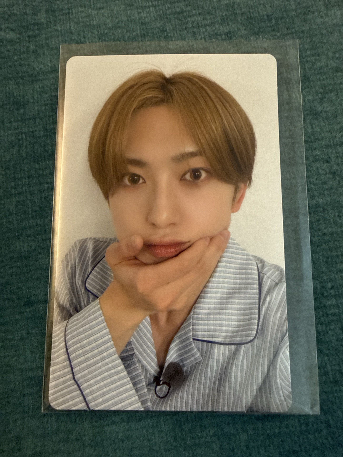 WOF WVS shop LD 2.0_FUMA