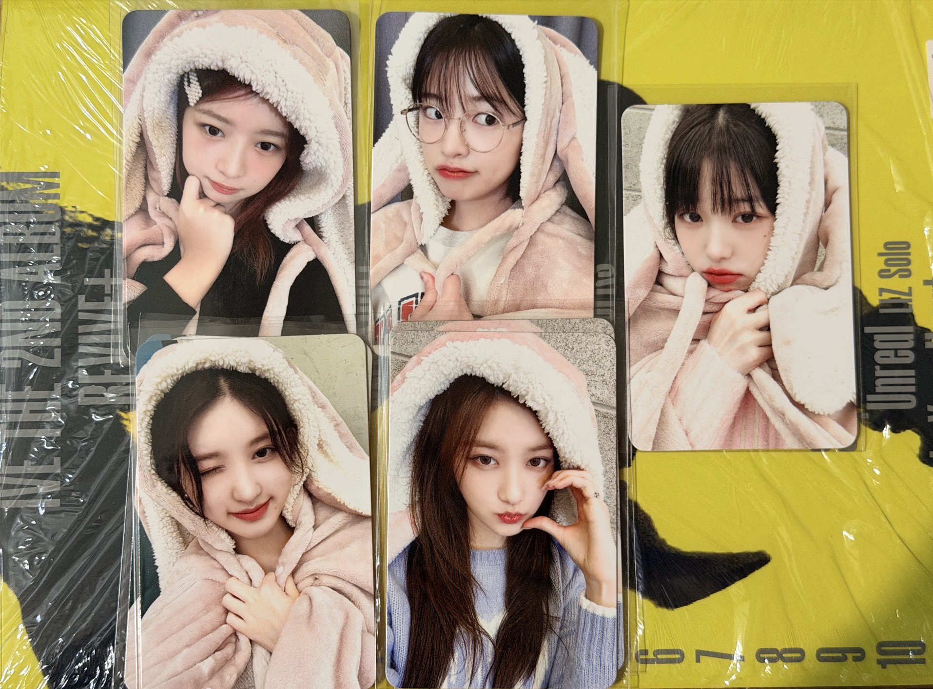 IVE MINE MS 兔子毛毯