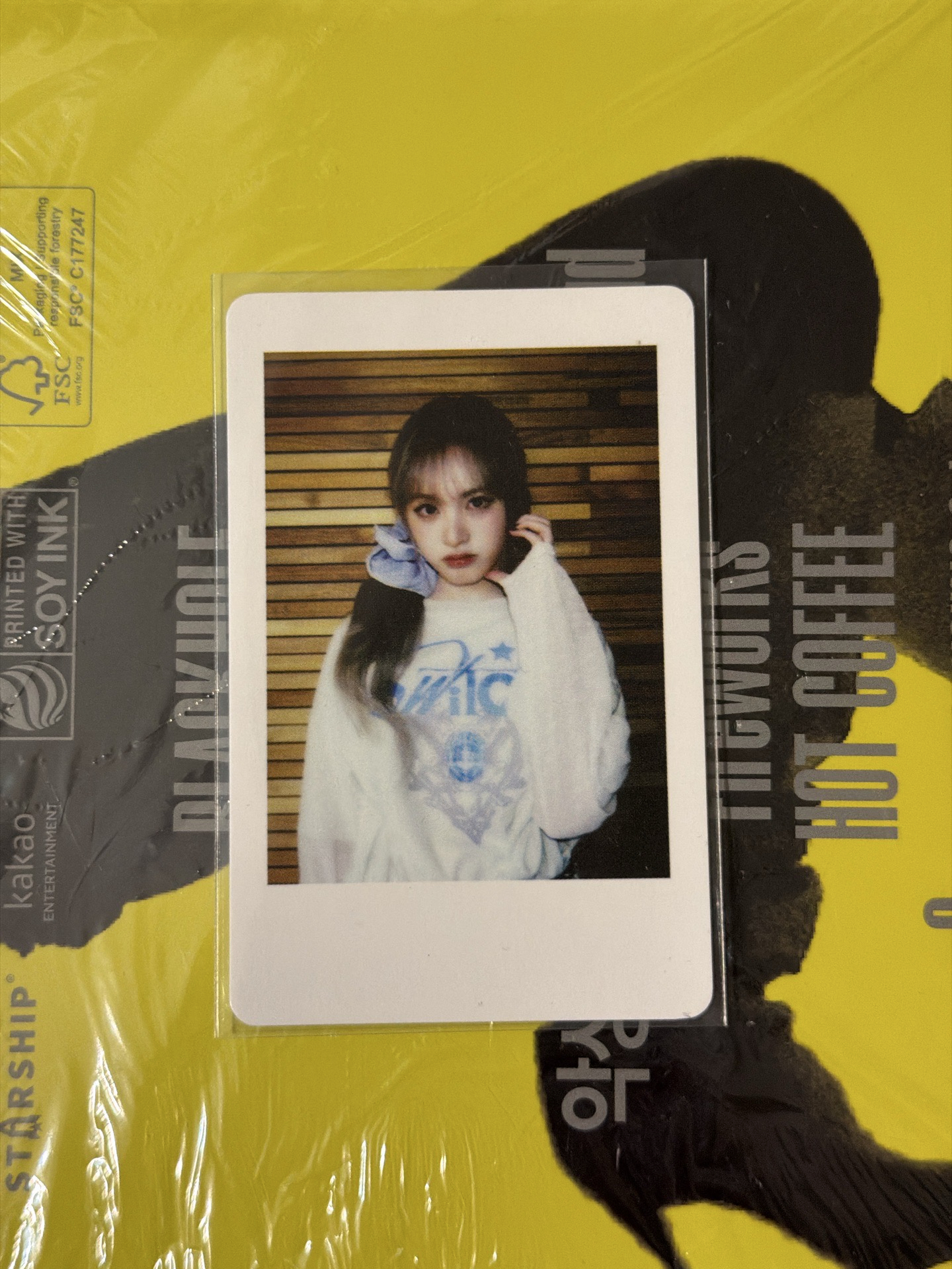 IVE SWITCH WM拍立得 栗