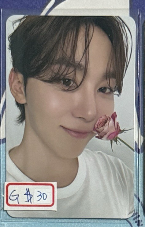 💙精選專克拉盤