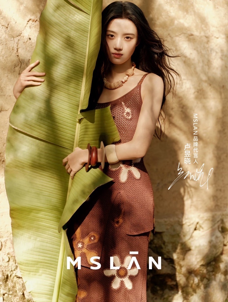 MSLAN