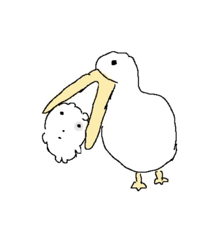 寶寶