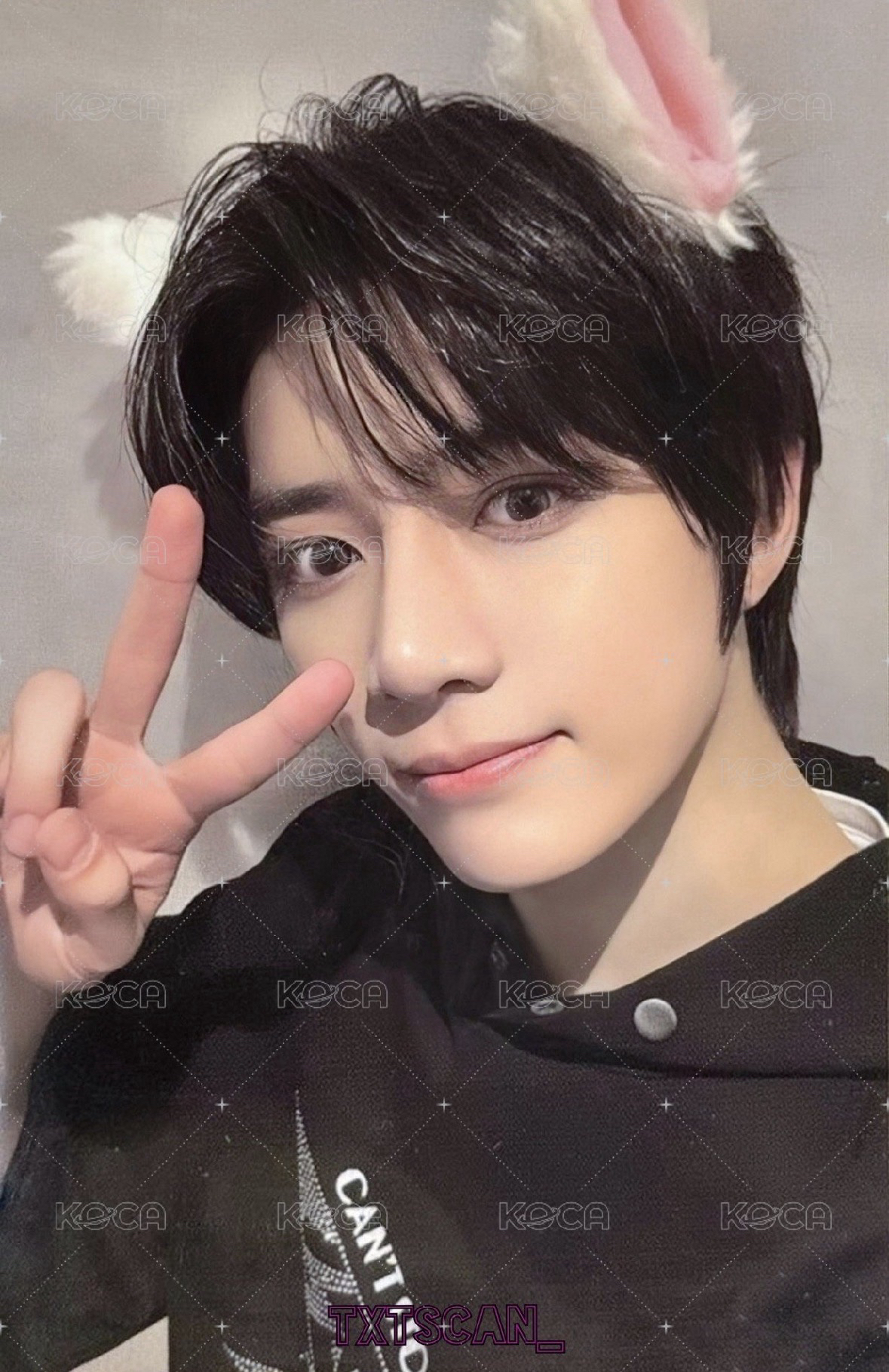 貓耳圭🐱