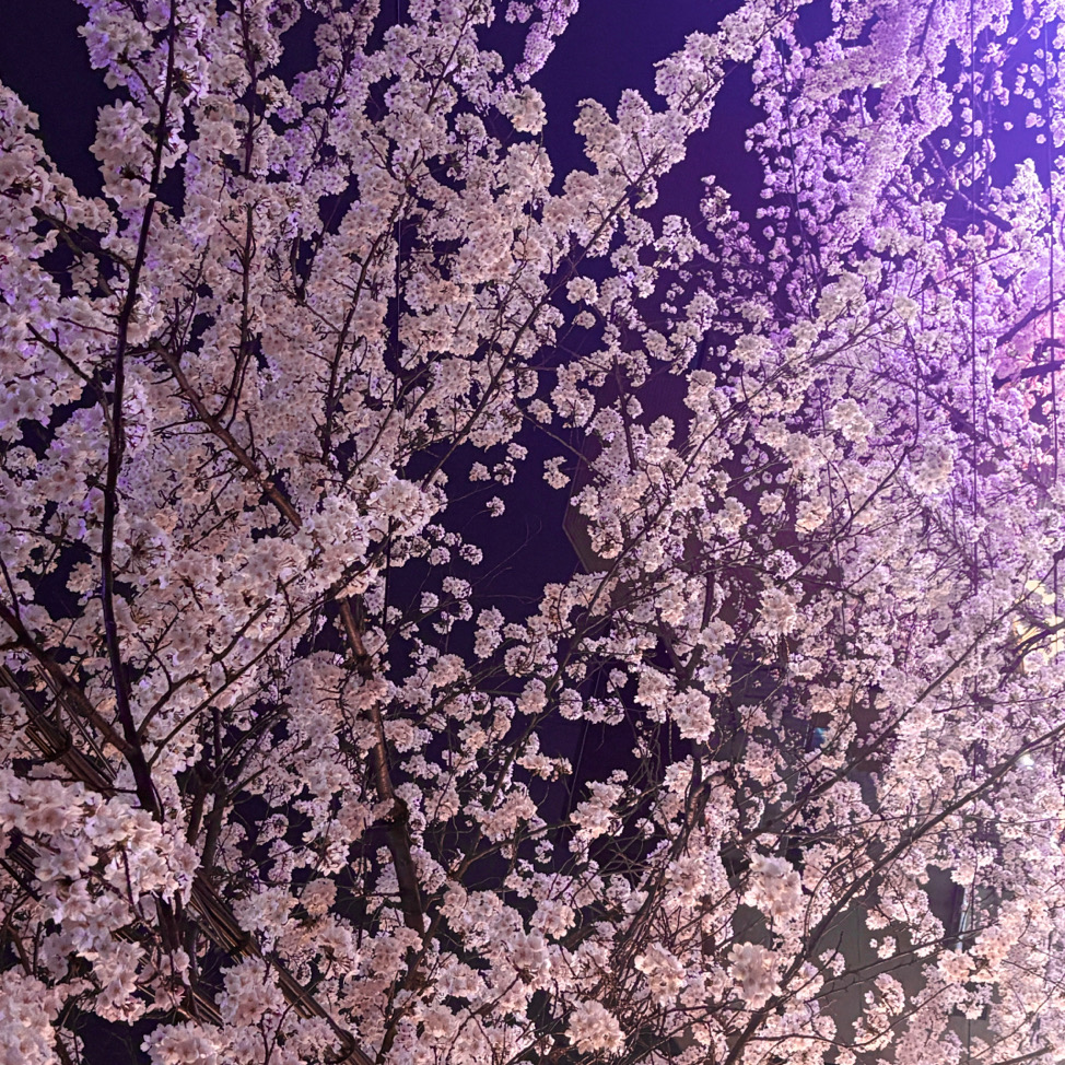 ๐จโโค๏ธโ๐โ๐จ๐จโโค๏ธโ๐โ๐จ๐จโโค๏ธโ๐โ๐จ