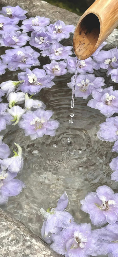嚕比醬