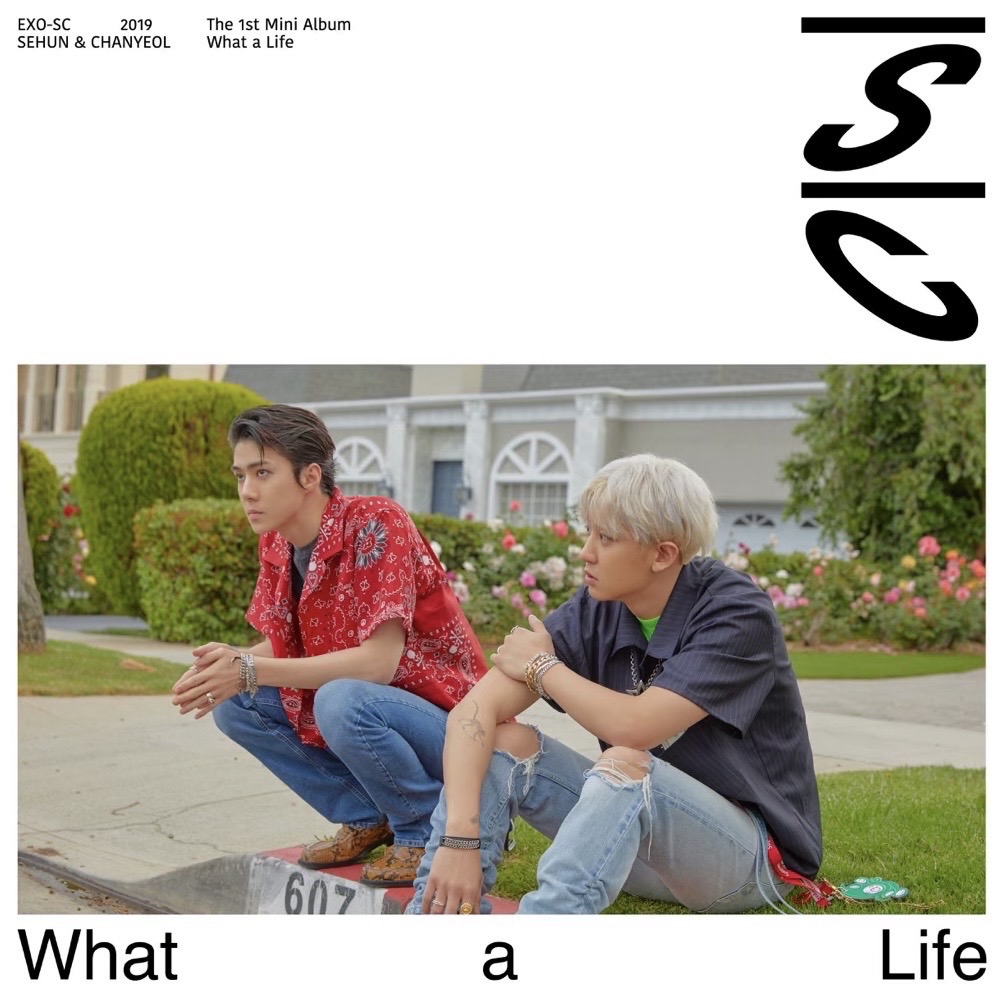What A Life