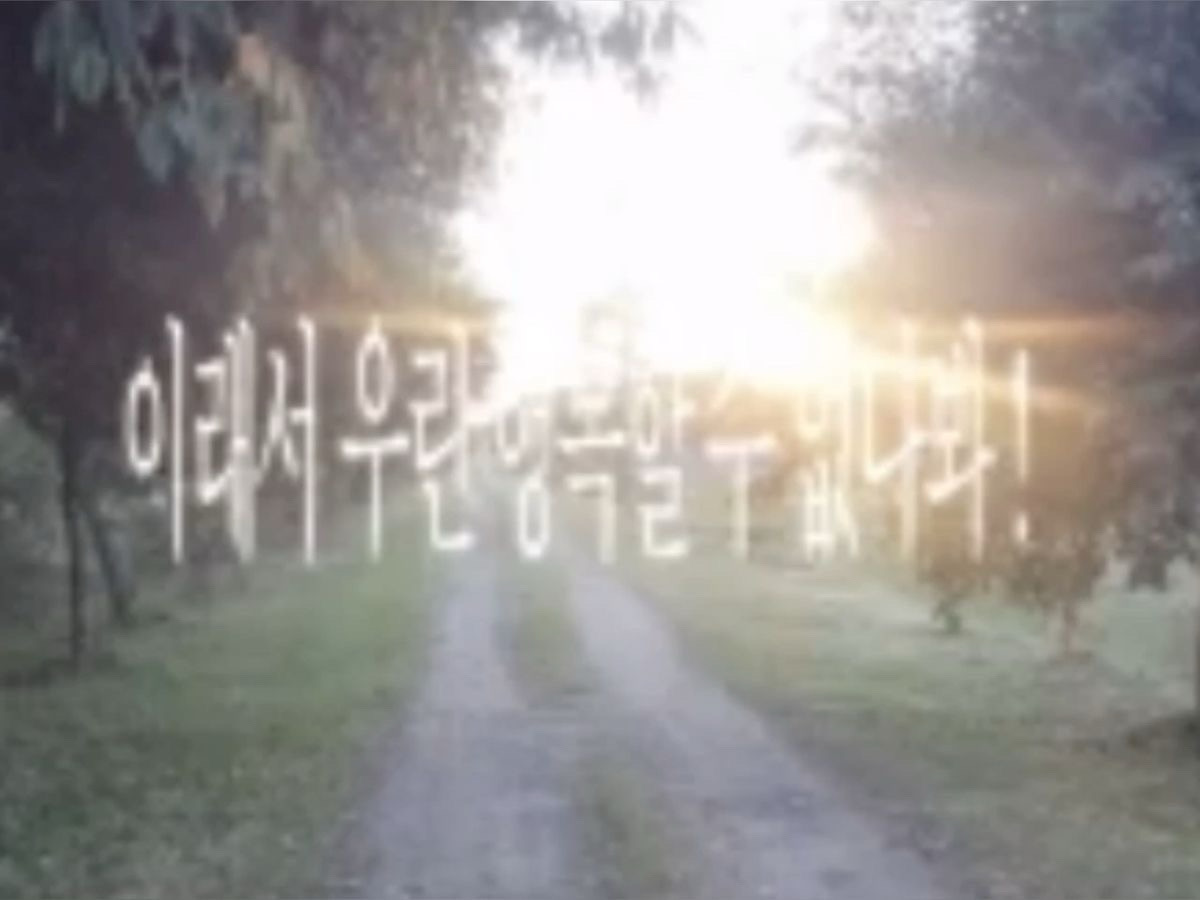 도베르만반려인