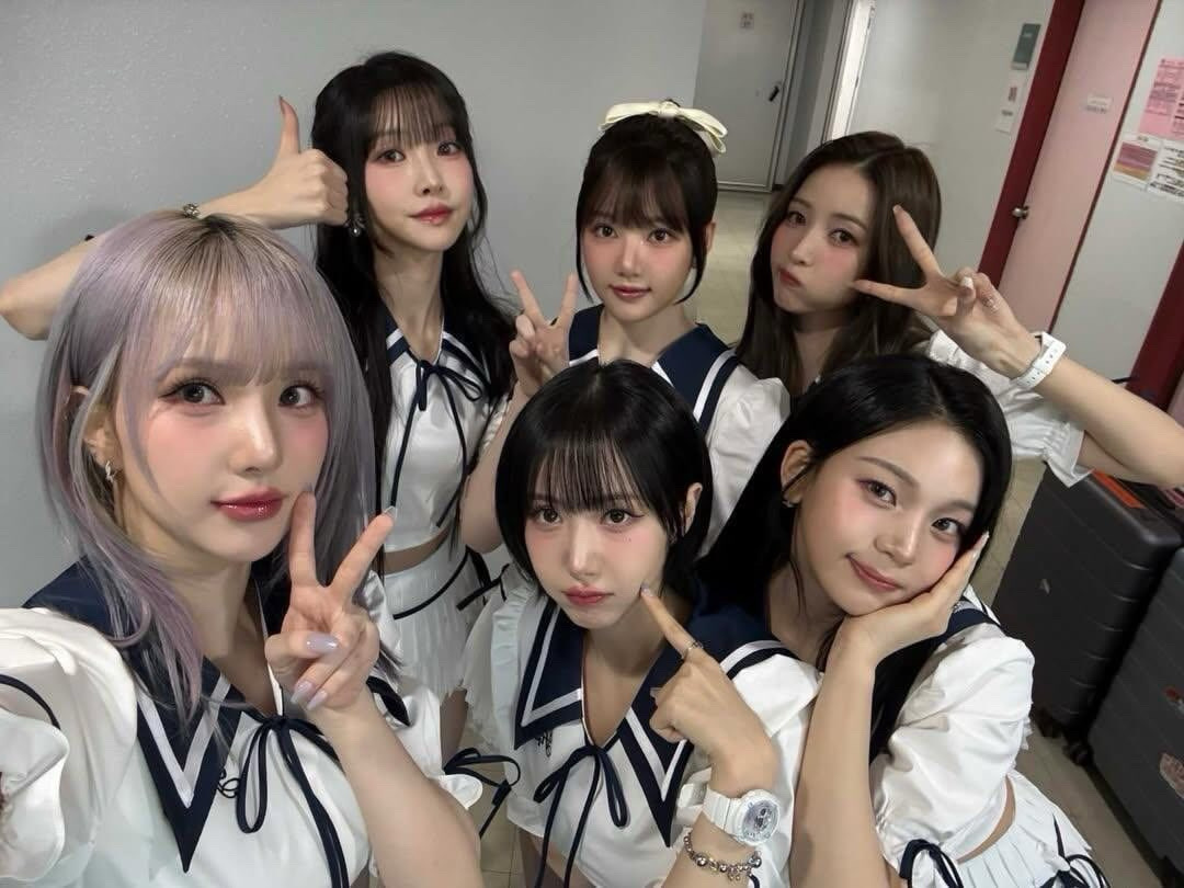 名井南的狗狗