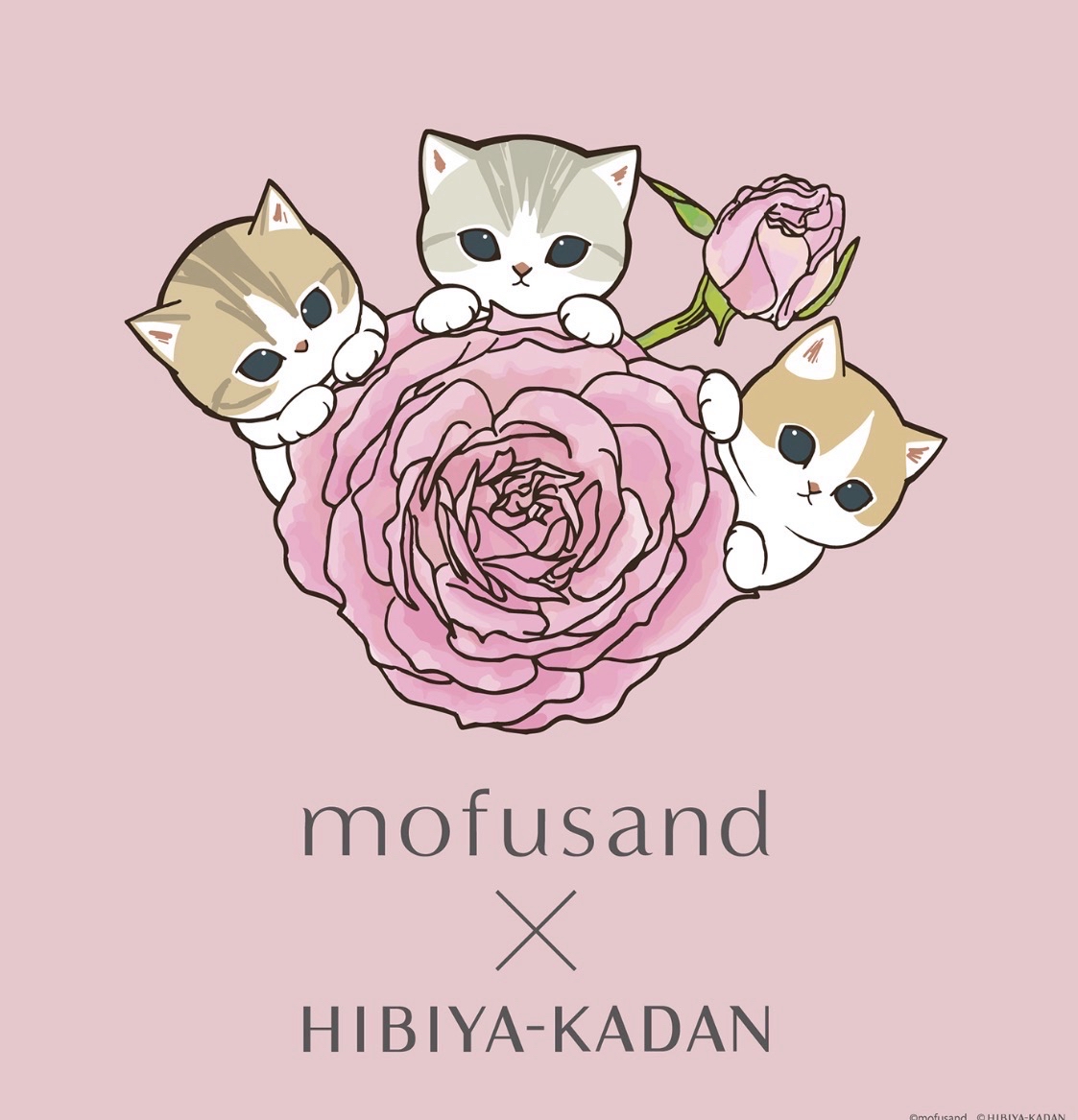 mofusand x 日比谷花壇
