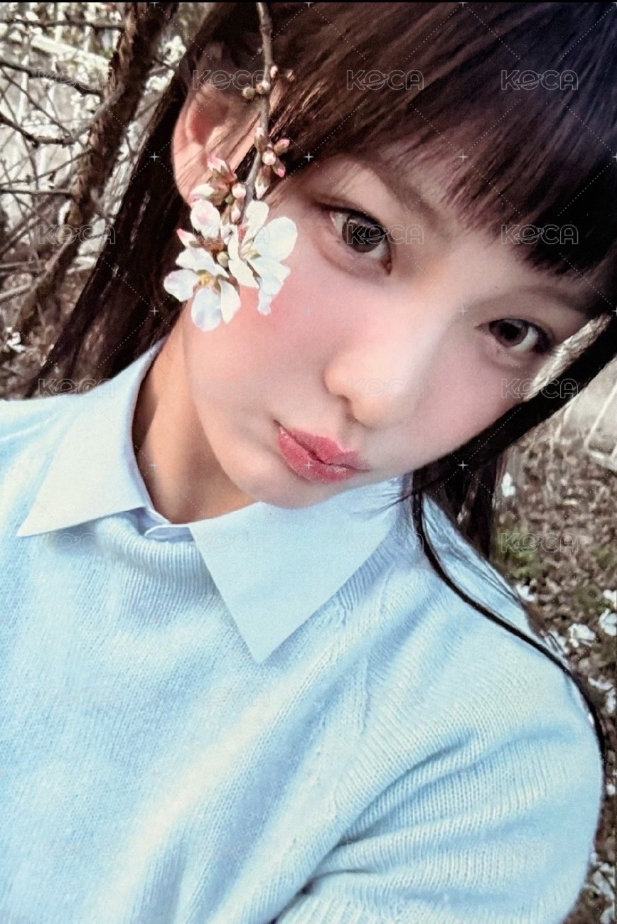 I'll change it : PUPPY LOVE mp 特典卡 Iroha