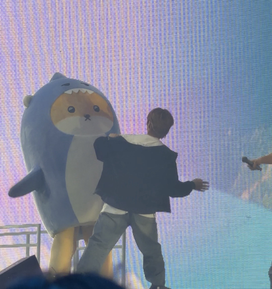 inu 