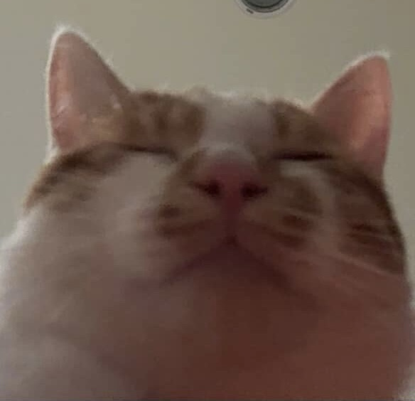 CHIA