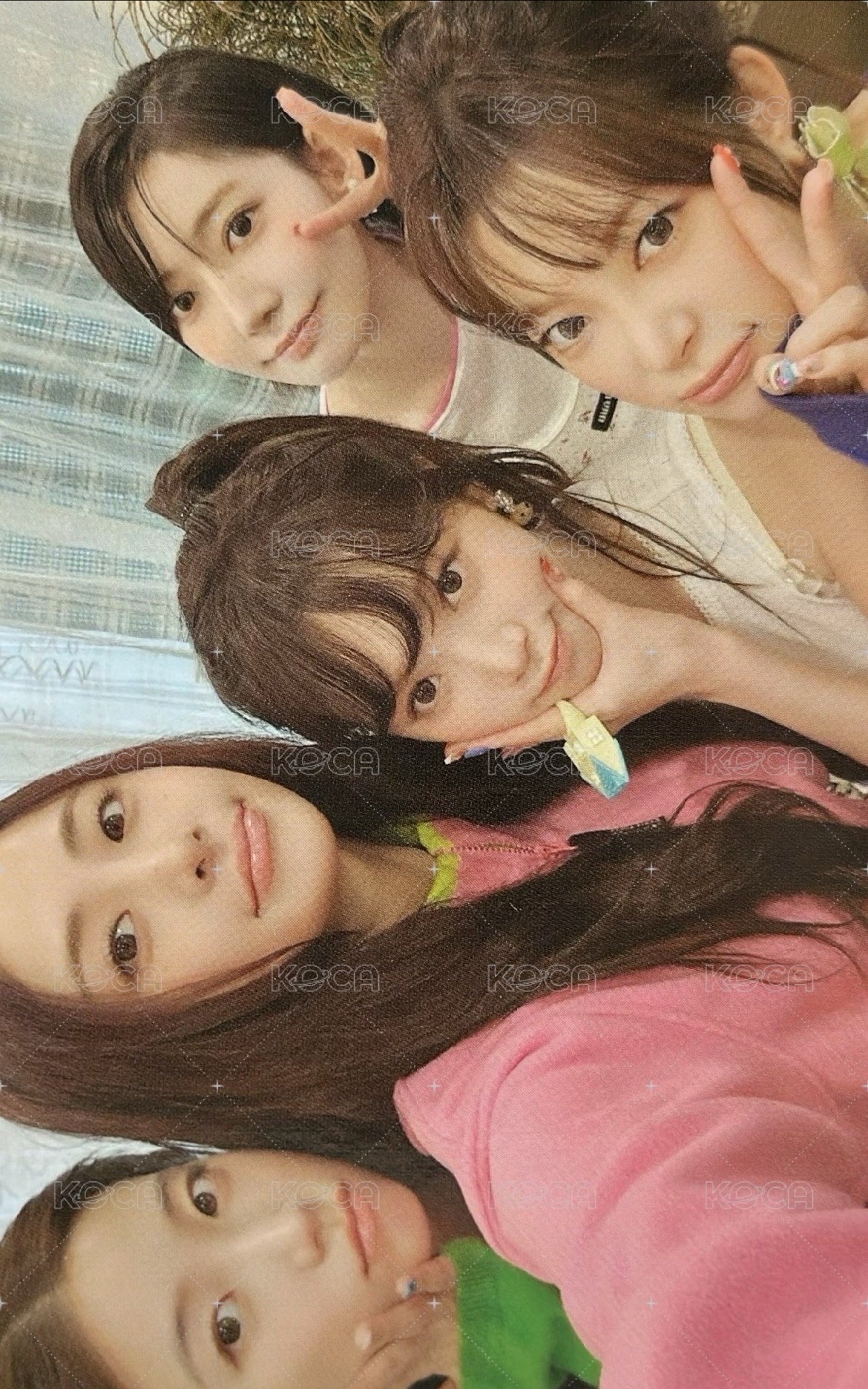 杯子卡
