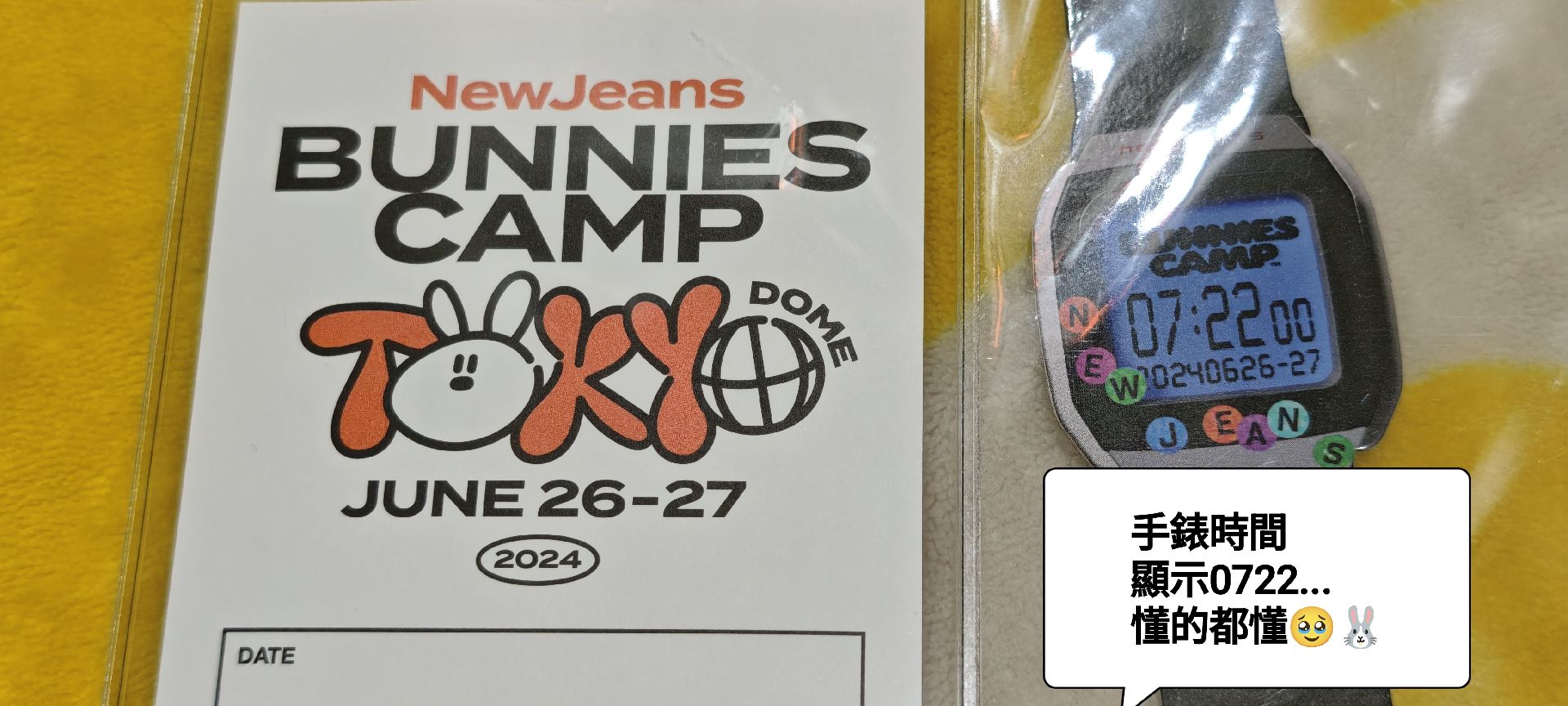 NewJeans BUNNIES CAMP 2024 東京巨蛋場 入場識別卡套+手錶紙腕帶