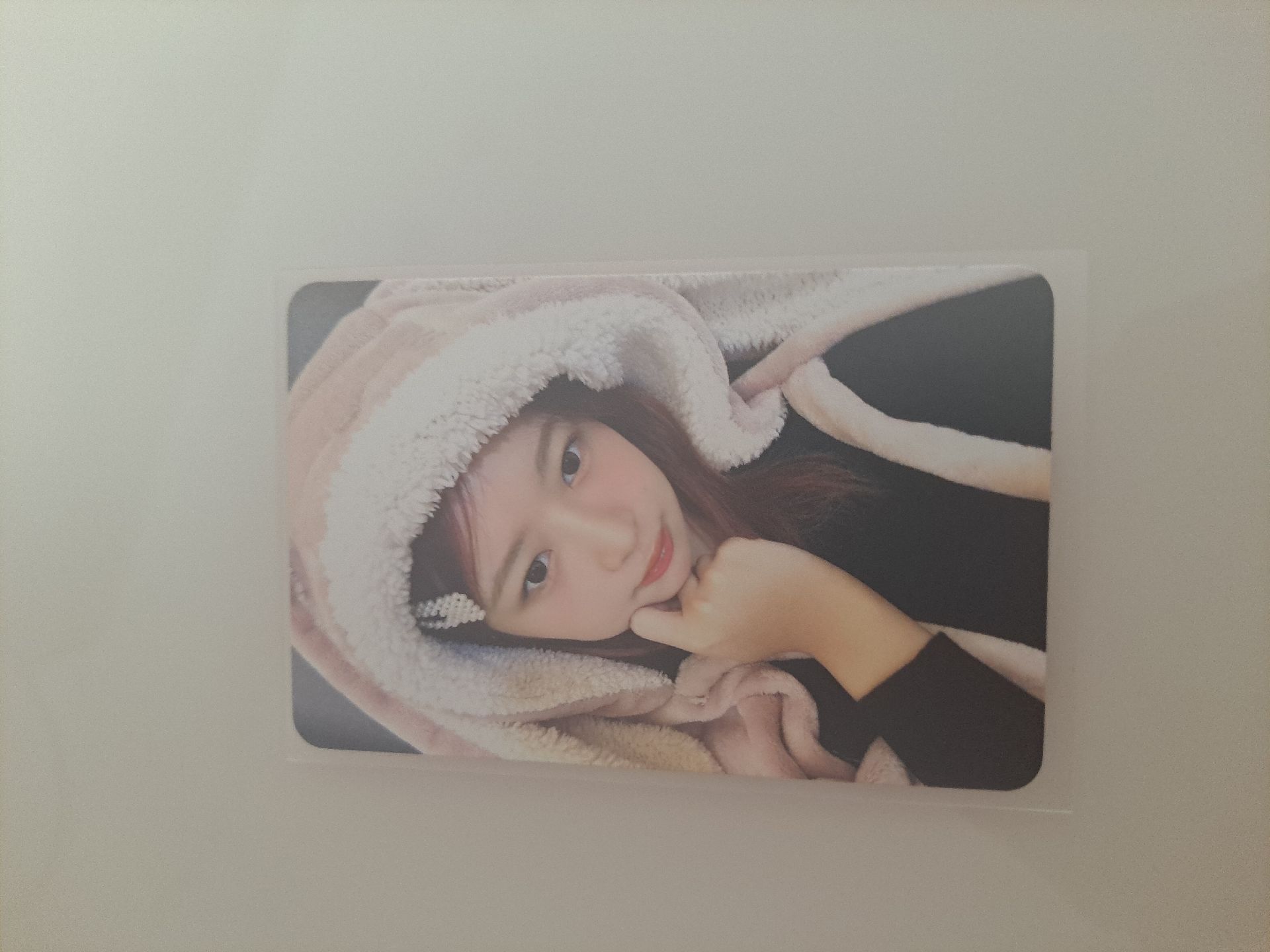 🐰🐰怜