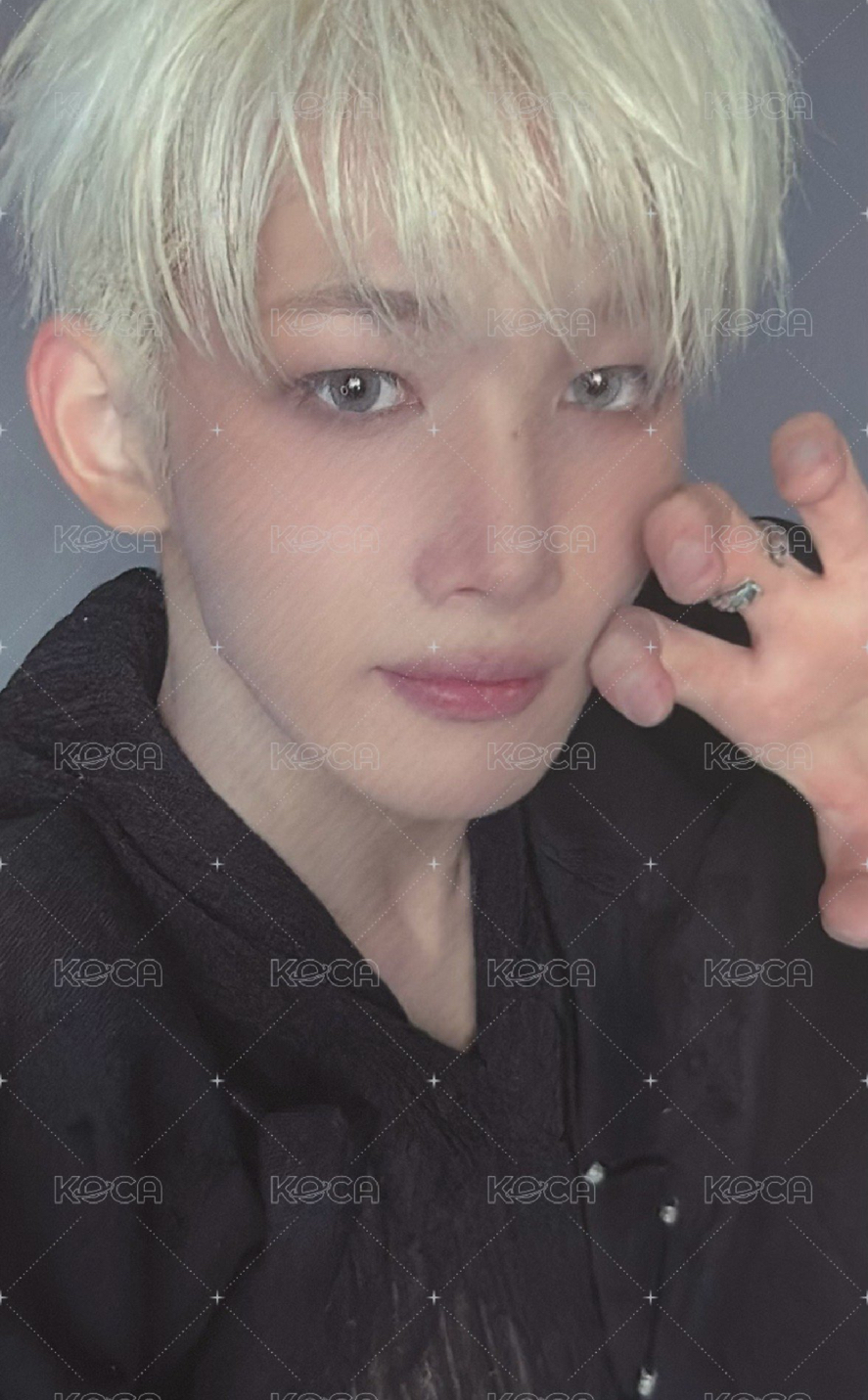 &TEAM BTL 朝倉穣 JO wvs GL 特典卡 STUDIO CHOOM A版