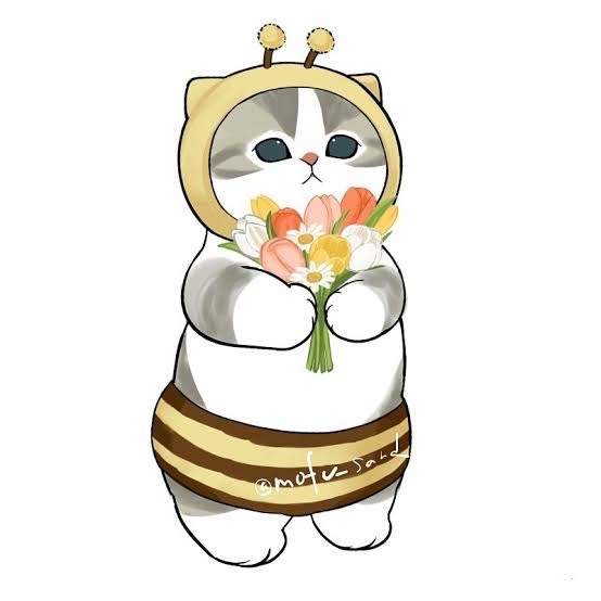 蜜蜂貓