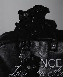 RIIZE FAME 照片展 BOSTON BAG