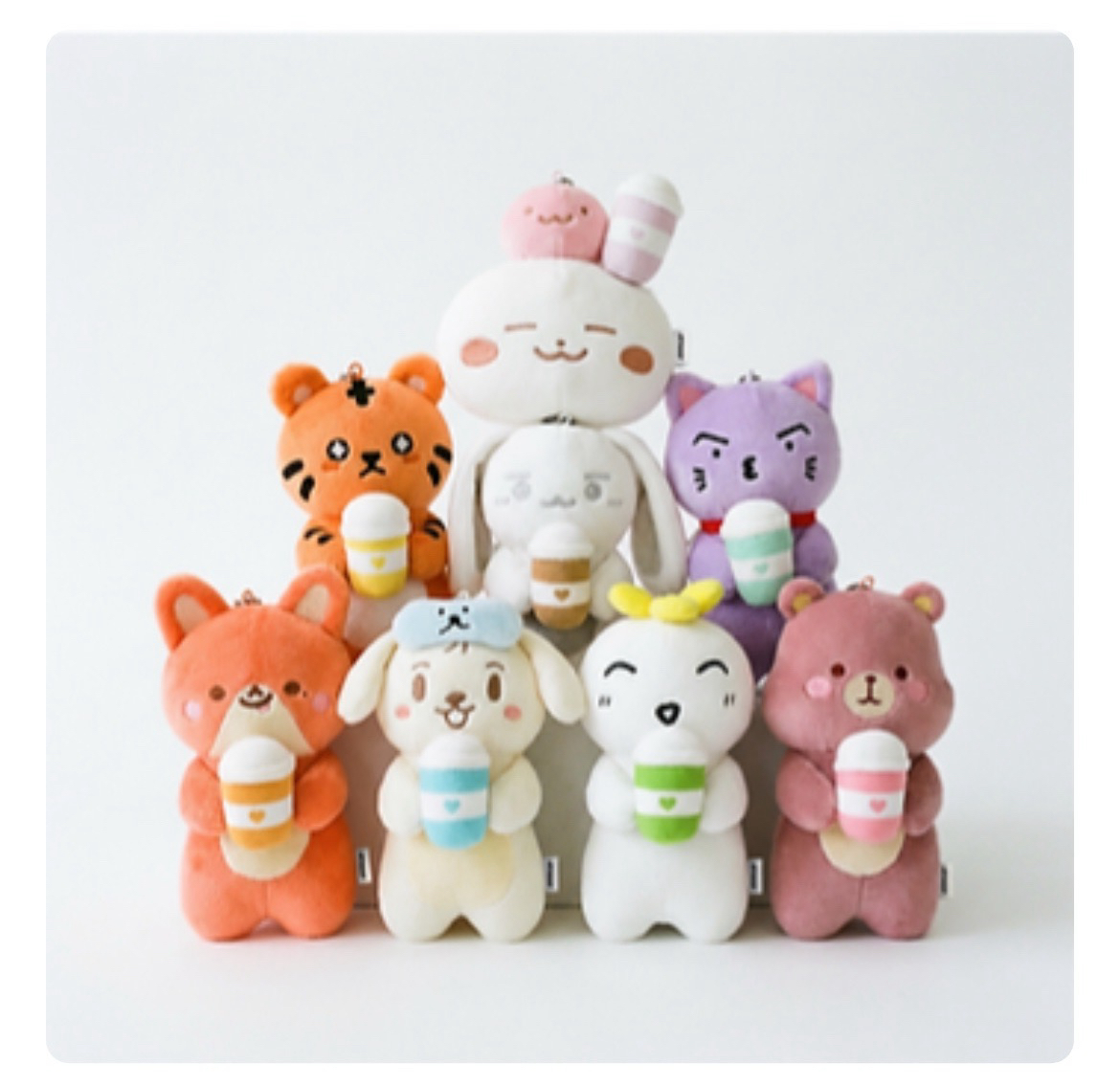 星杯套