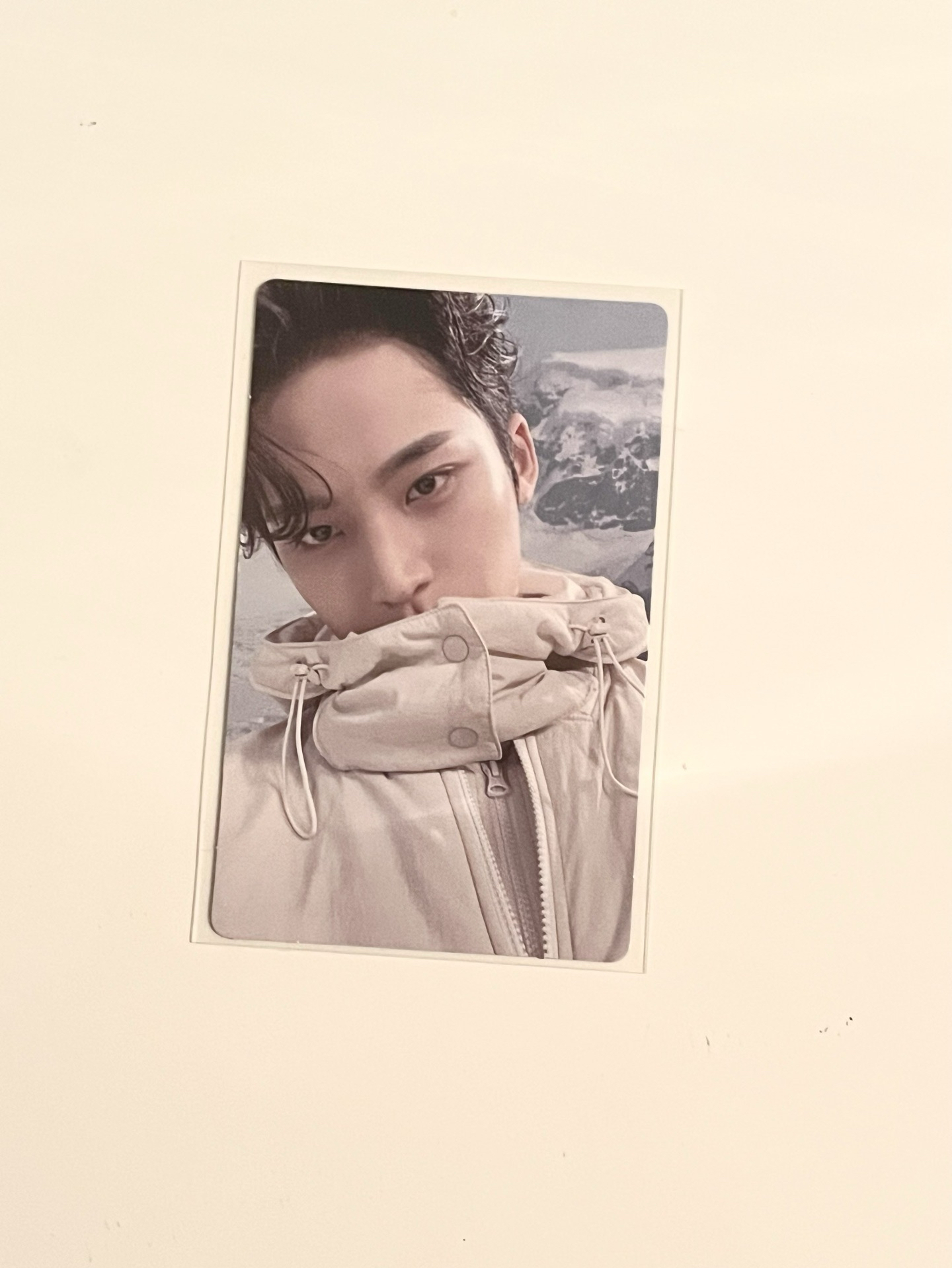 SEVENTEEN MINGYU 區