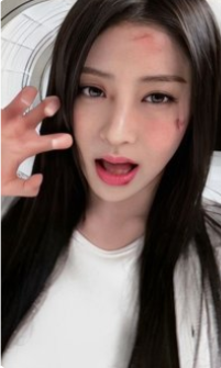 楠藝 簽售卡允