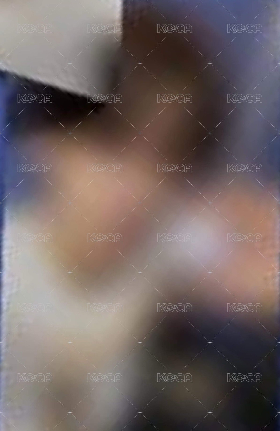 客留 🚨boyoiyoi 🦊小卡