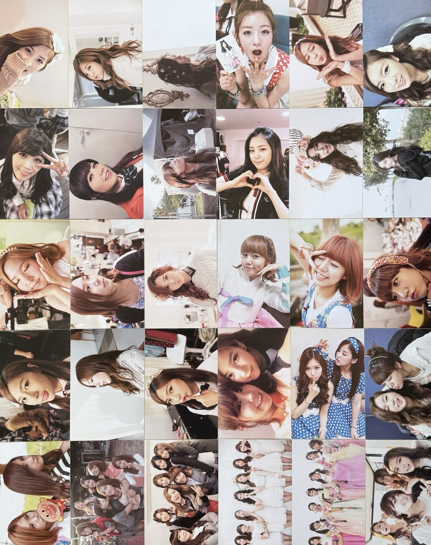 PANDA 1th MEMBERSHIP