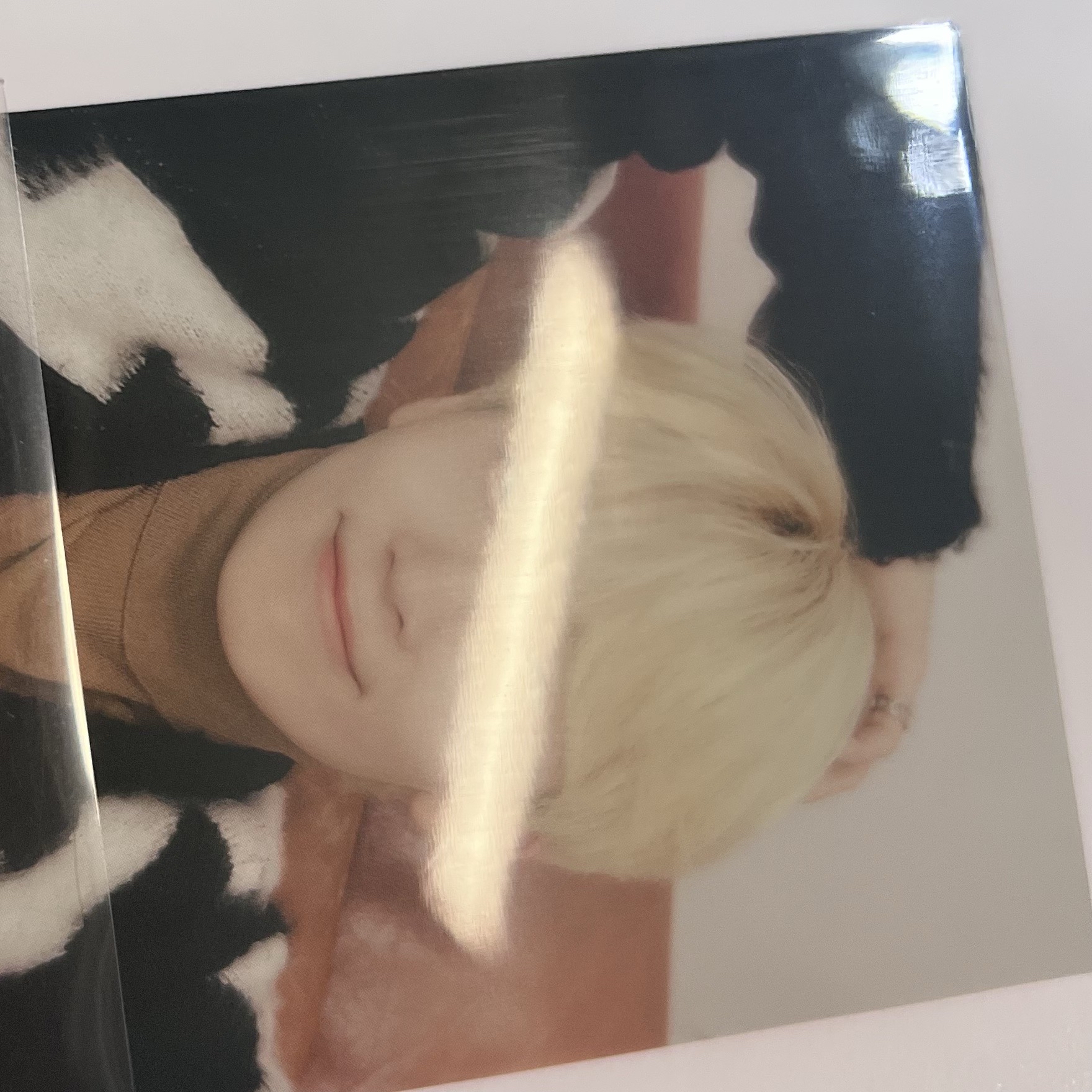 🐰淨漢 Hanabi 2024 Seventeen Home隨機卡