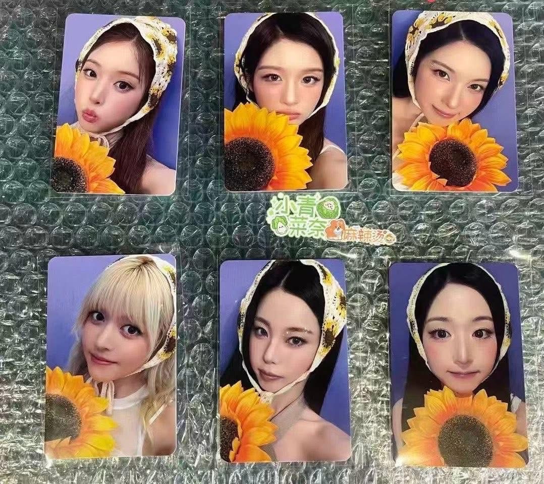 ms眼鏡小狗+向日葵