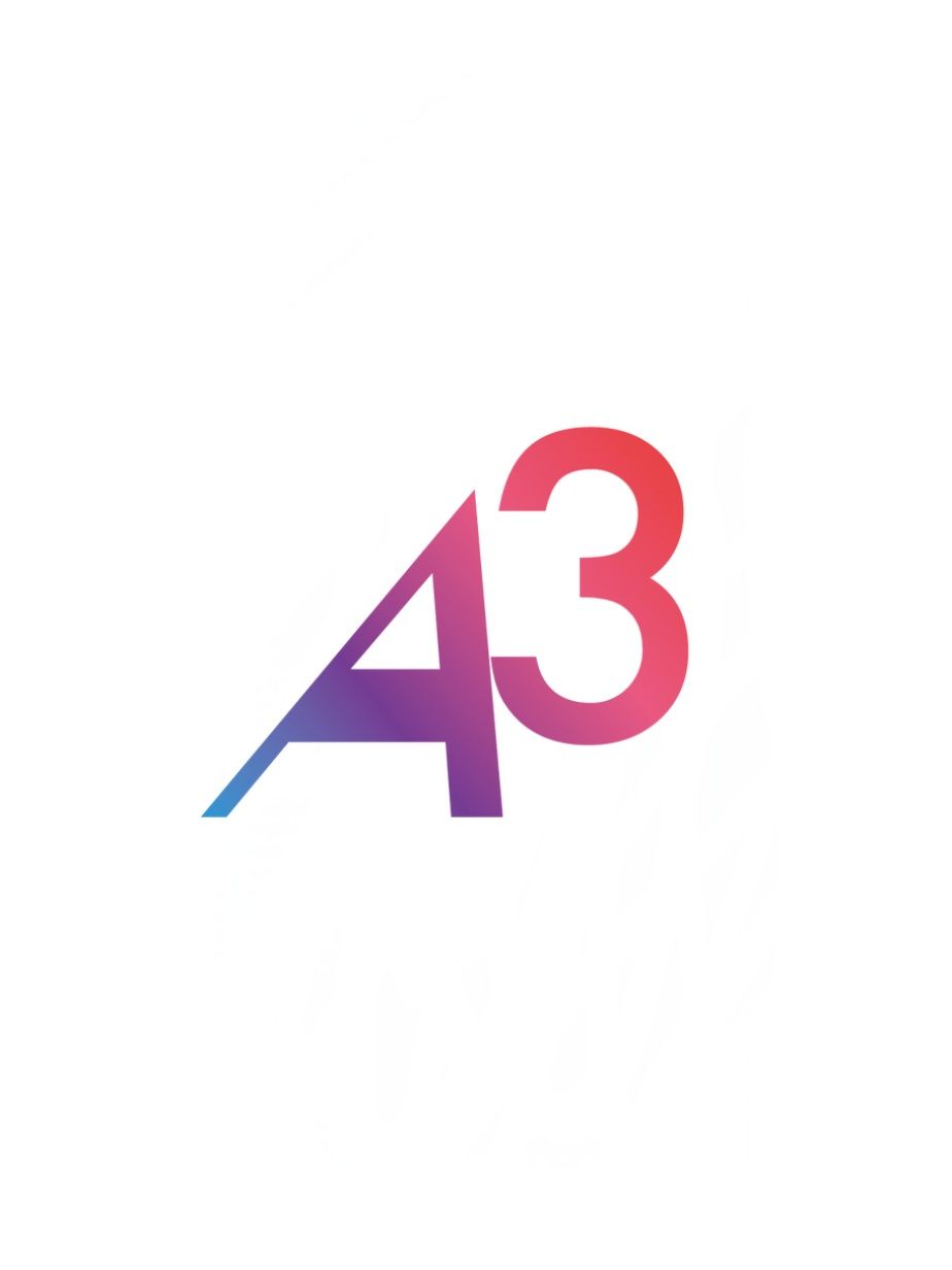 A3