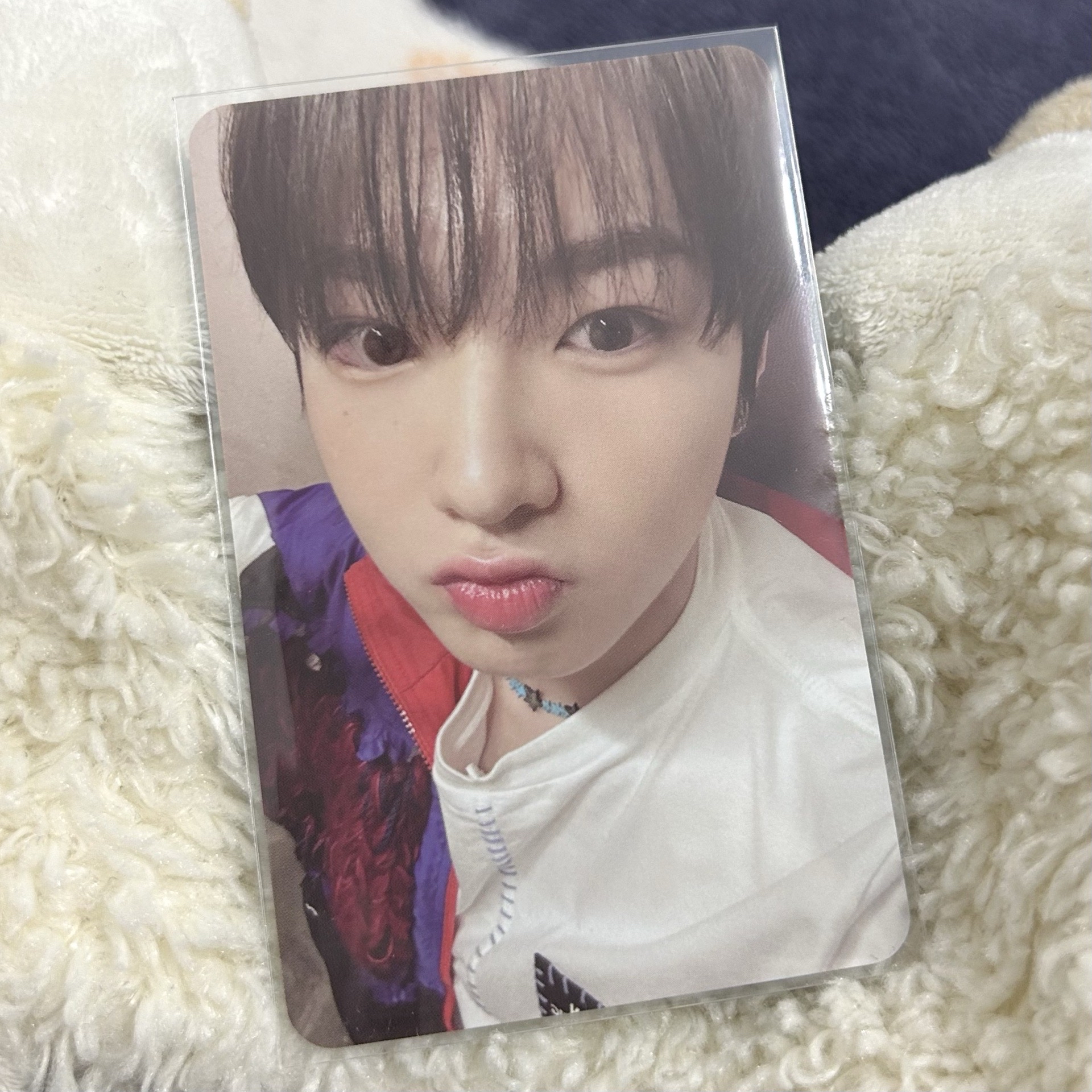 NCT WISH | Songbird Sakuya Smini 專卡