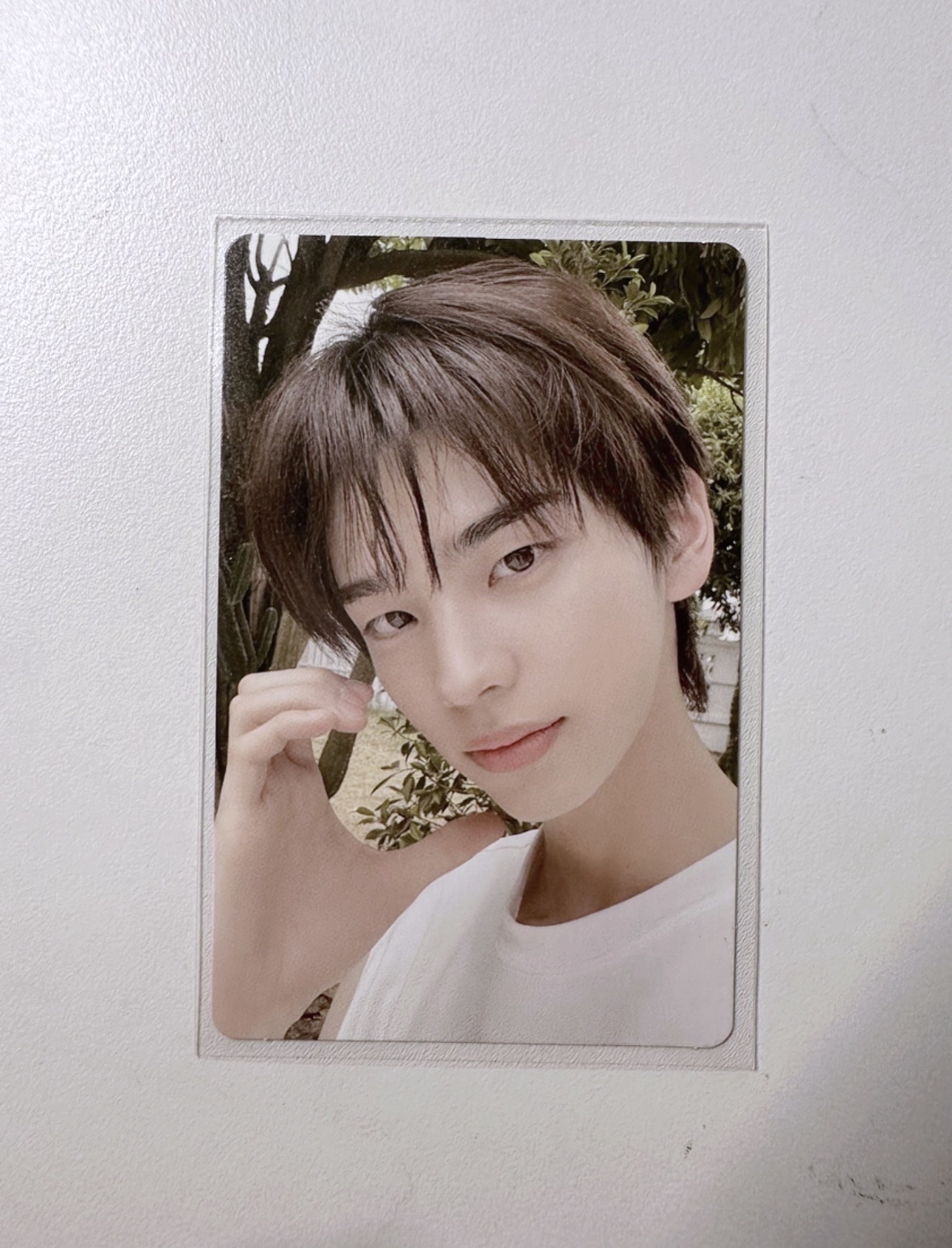 𝙏𝙒𝙎 ˚꩜｡ | 𝙎𝙃𝙄𝙉𝙔𝙐 𝗡𝗢𝗪 𝘃𝗲𝗿.迷二專卡