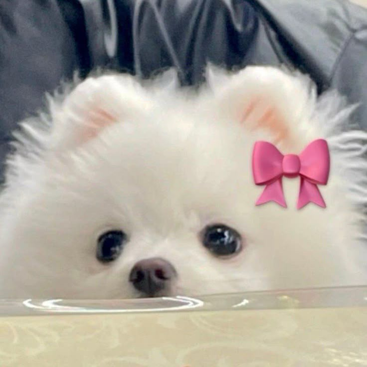 俞